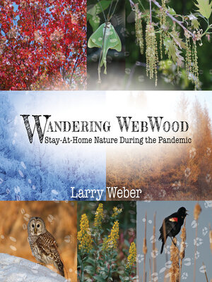 cover image of Wandering Webwood